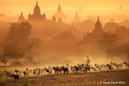 Golden Evening of Bagan