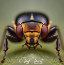 November 2023 Photo Contest 2nd Place Prize Winner