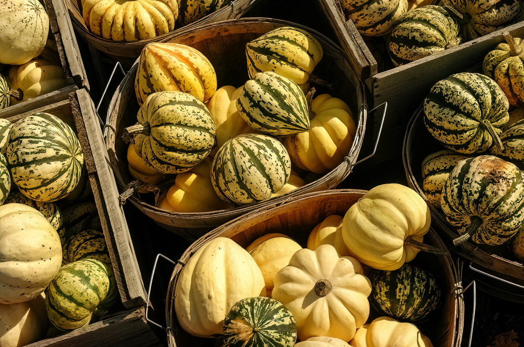 Winter Squash