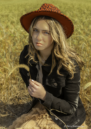 In The Prairie Field