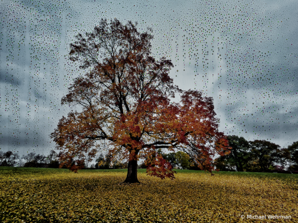 Waiting in the Rain - ID: 16085956 © Michael Wehrman