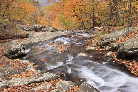 White Oak Canyon Trail