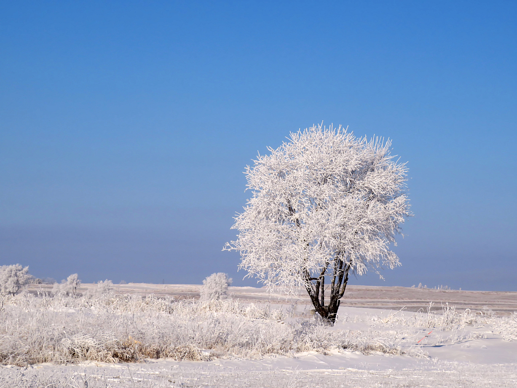 Winter Iowa