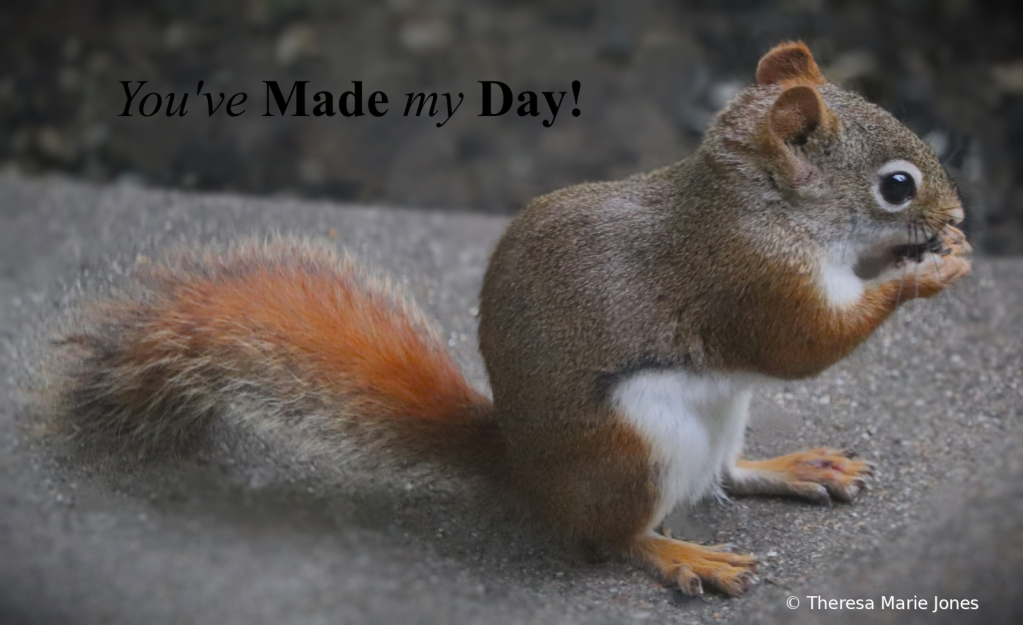 You Made my Day