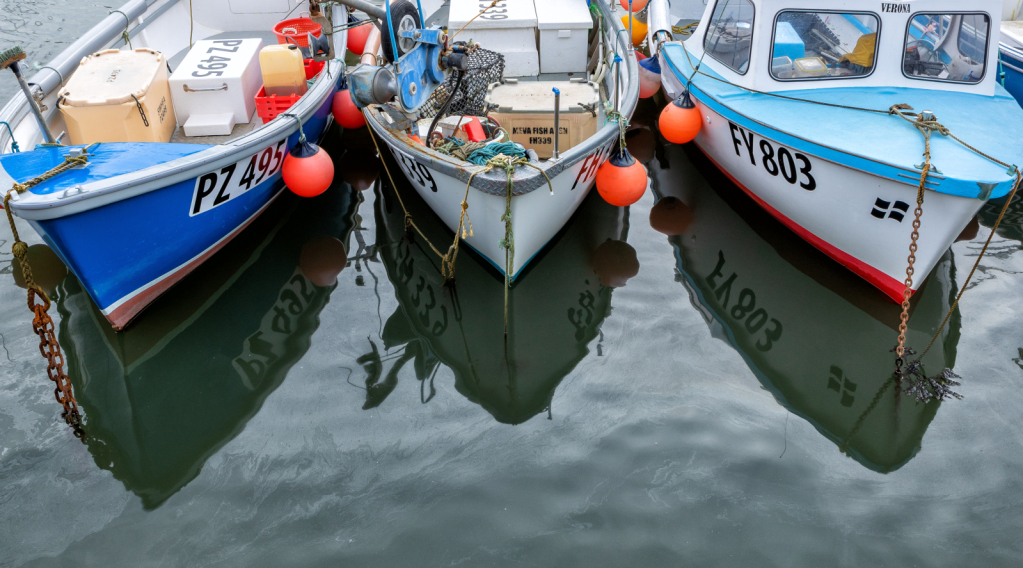 Boats, Mevagissey