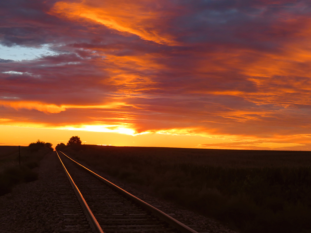 Making Tracks