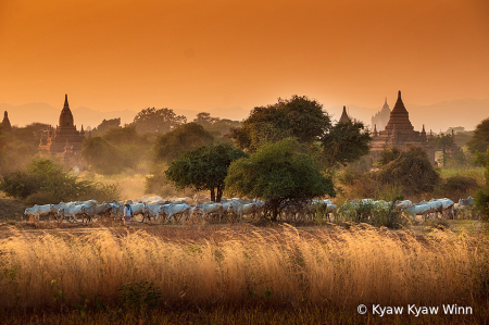 Color of Evening in Bagan