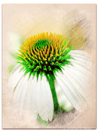 Come Flower 