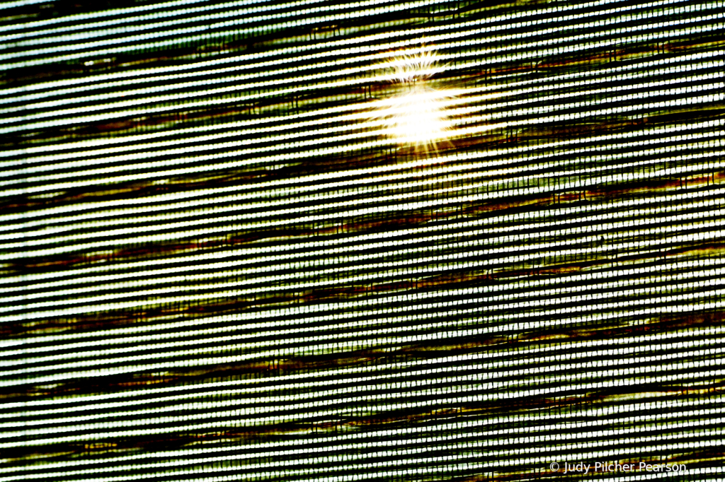 img9