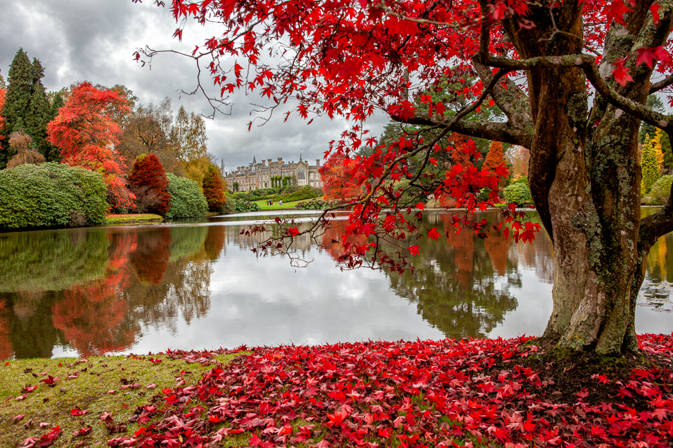 Sheffield Park, Sussex