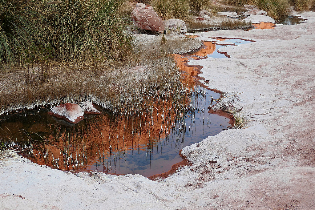 Reflections in the Salt River