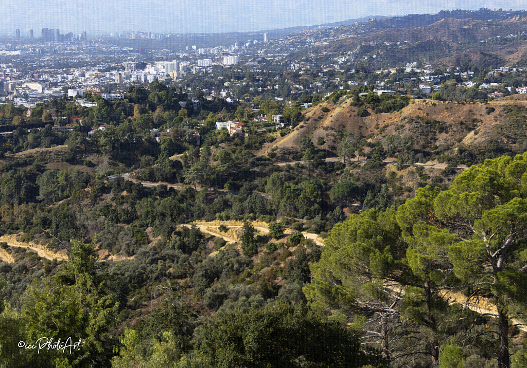 Hilltop Hiking - ID: 16087592 © Candice C. Calhoun