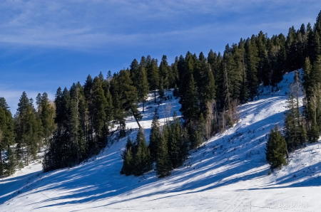 New Mexico Snow