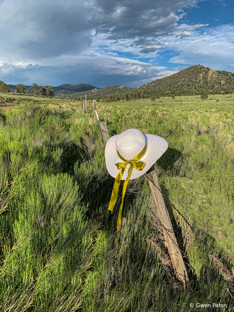 Hat on Post