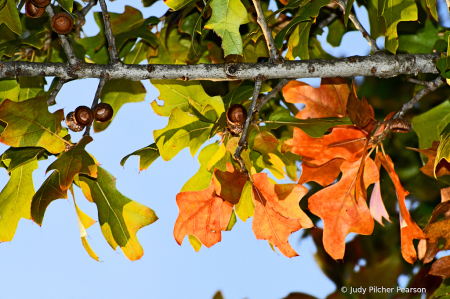 just hanging down......