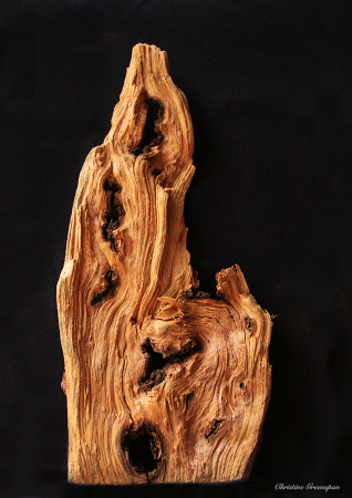 Wood