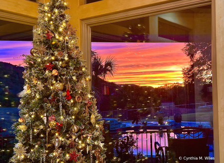 December in Texas 