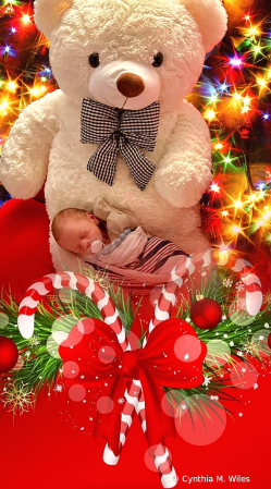 Christmas Joy