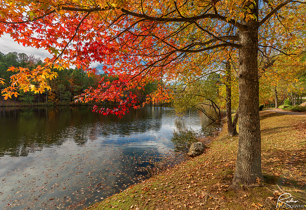 Perfect Autumn Day