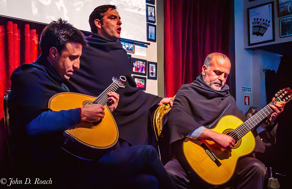 The Fado Musicians - ID: 16087838 © John D. Roach