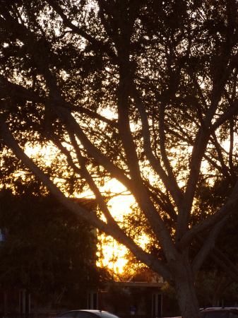 Sun Glow
