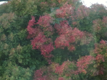Color Change