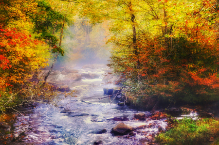 Misty Morning