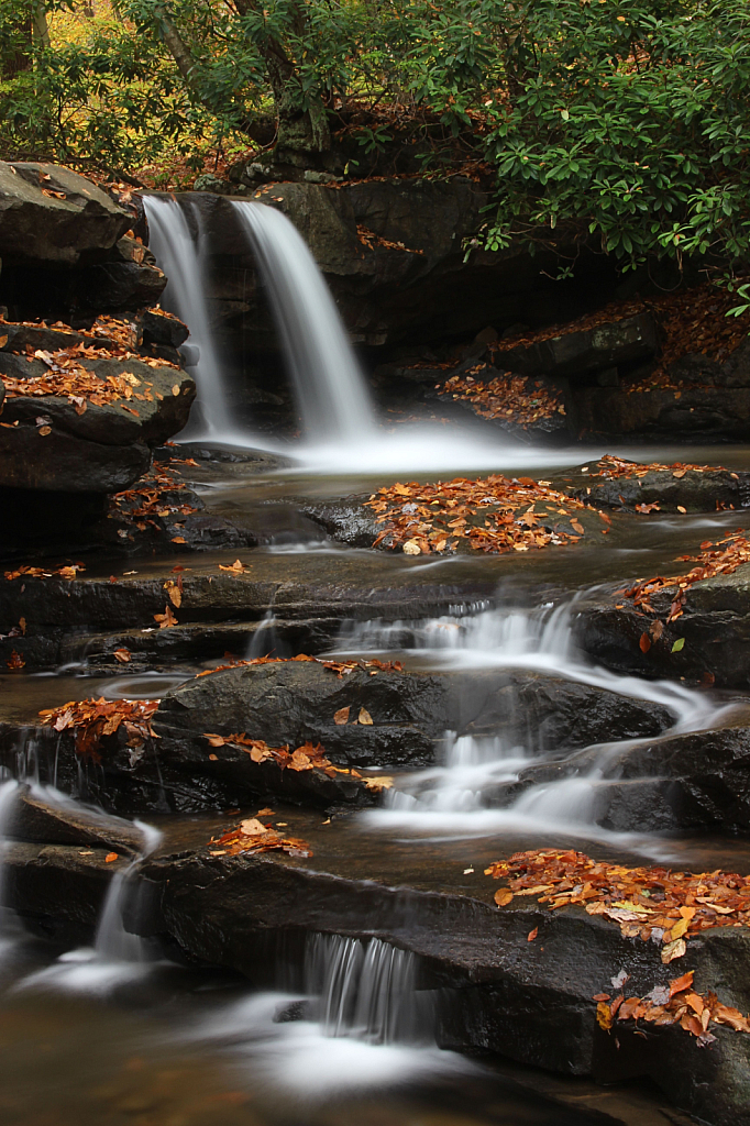 Jonathan Falls