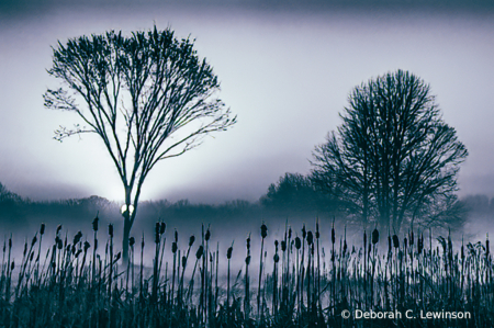 Quiet Sunrise