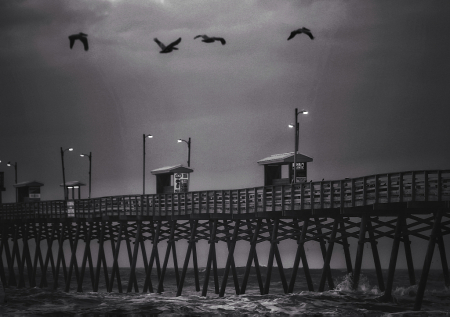 Pelican Flight