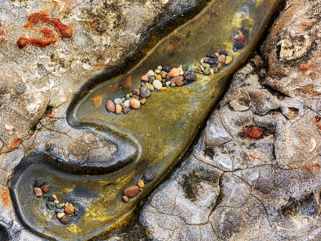 Rock Patterns and Tidepool