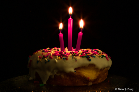 Celebration of the Doughnut