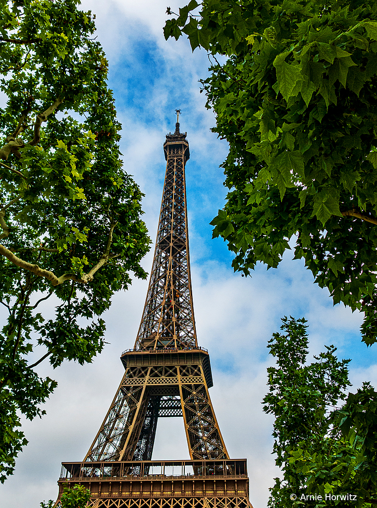 Eiffel Tower in Spring