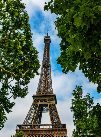Eiffel Tower in Spring