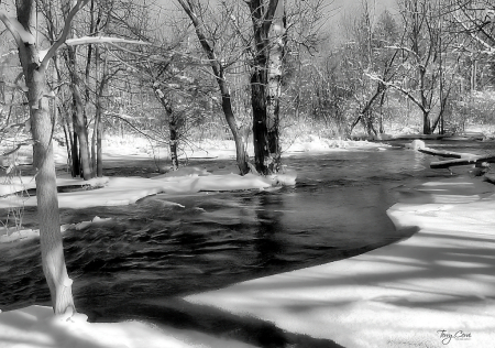 Wintry Ellicott Creek