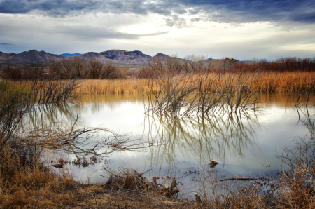 Fall around wetland