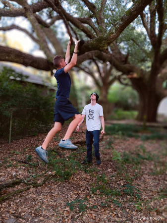Climbing a Live Oak