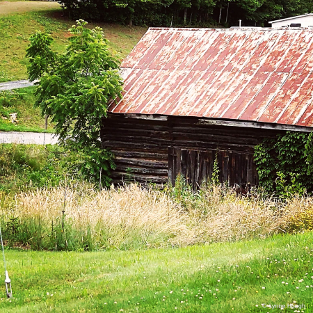 North Carolina Log Cabin 
