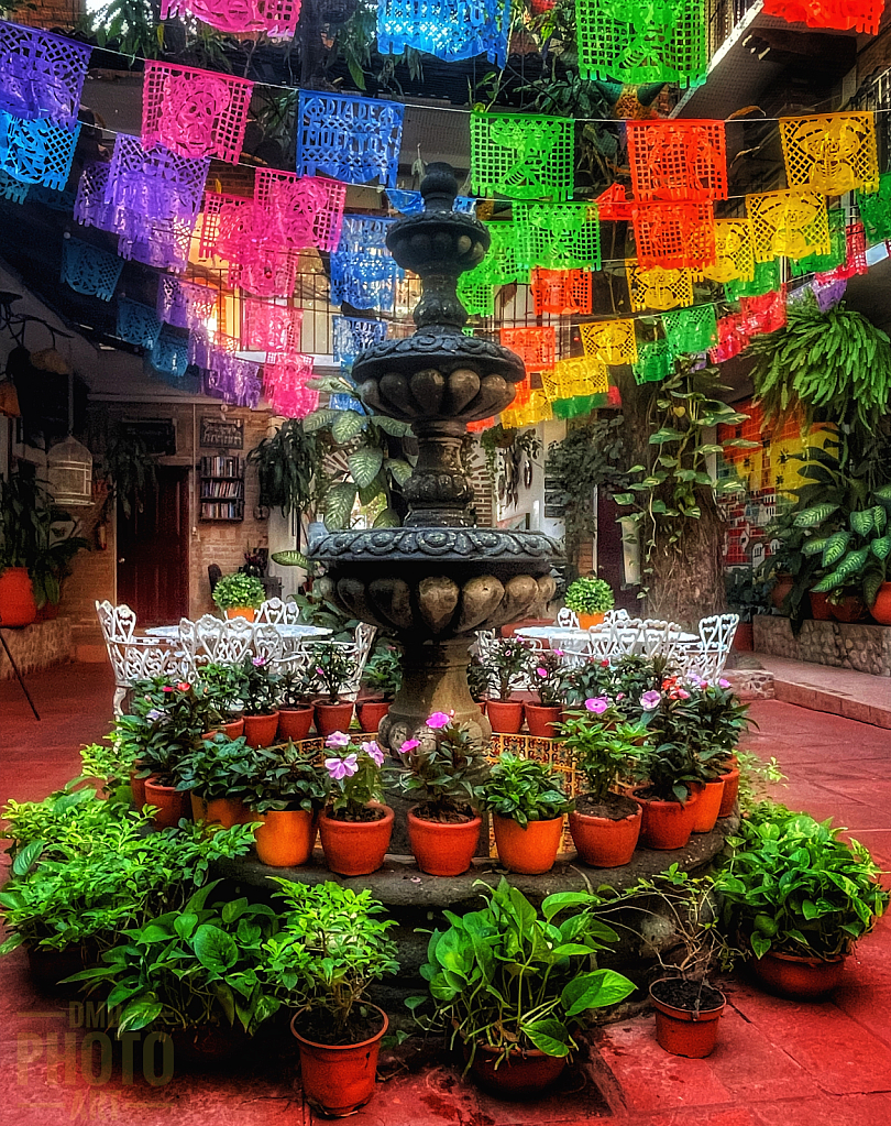 ~ ~ FIESTA AT THE PLAZA ~ ~ 
