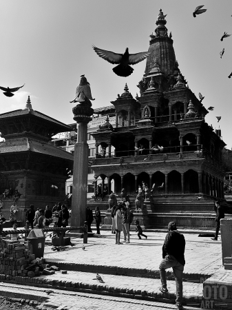 ~ ~ FLIGHT AT BUDDIST SHRINE ~ ~ 
