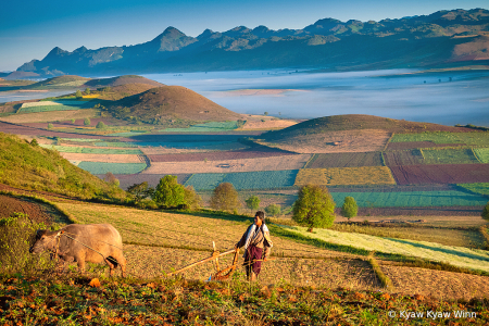 The Local Farmer from Shan state 