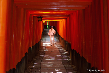 Entrance of Japanese Temple 