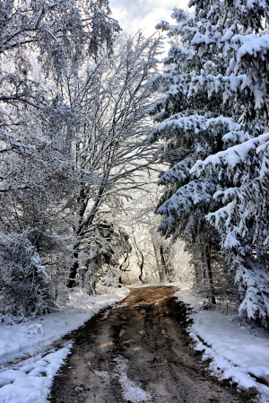 Road