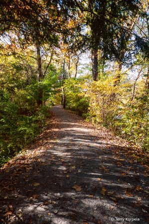 Trailside Trail