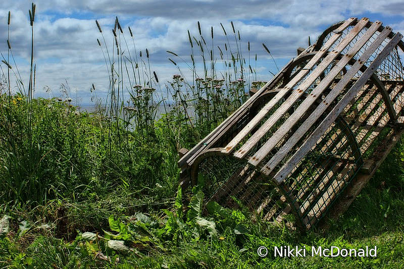 Old Lobster Trap