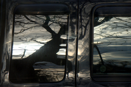 Reflections On A Ranger