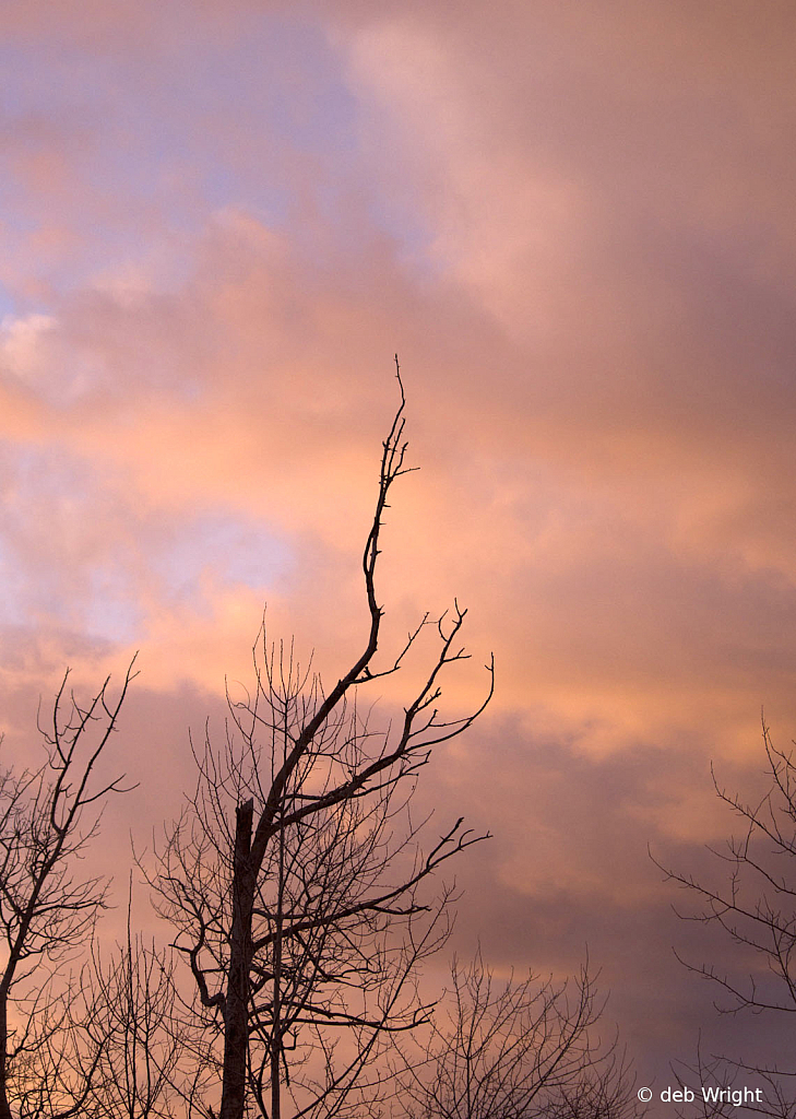 Sunset on the Marsh - ID: 16089797 © deb Wright