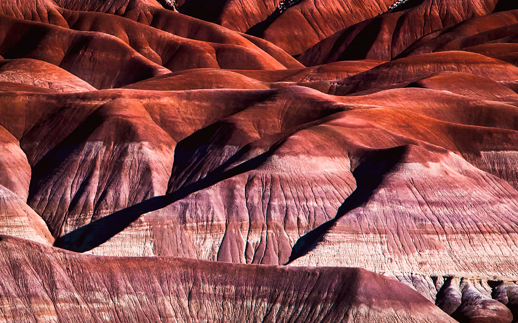 Little Painted Desert - ID: 16089839 © John D. Roach