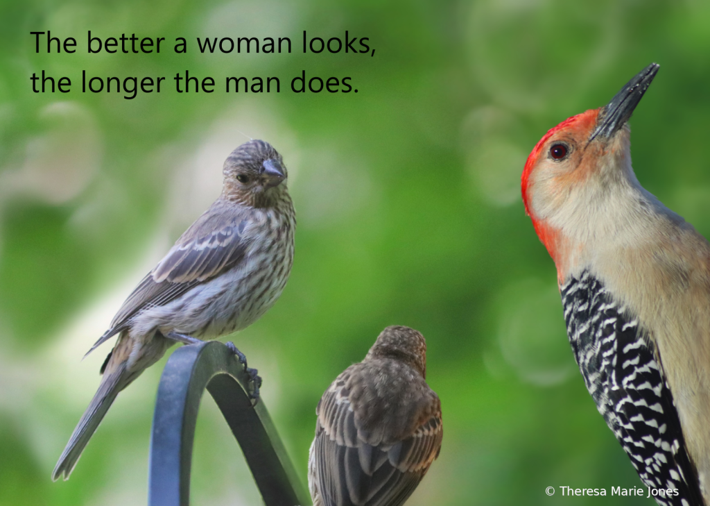 The Better a Woman Looks.... - ID: 16089918 © Theresa Marie Jones
