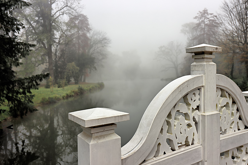 Lace Bridge